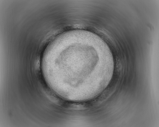 X0000113290502200910131029