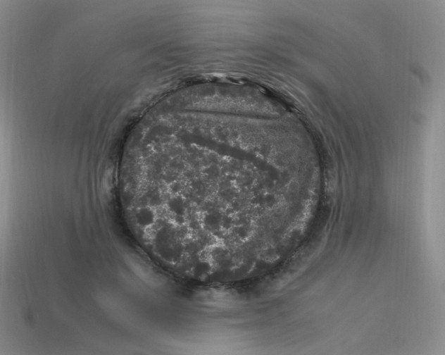 X0000113290503200910131029