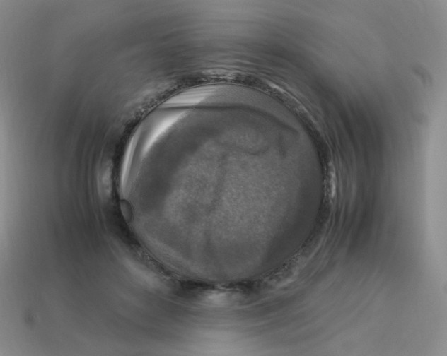 X0000113290504200910131029