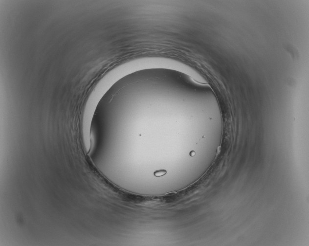 X0000113290505200910131029