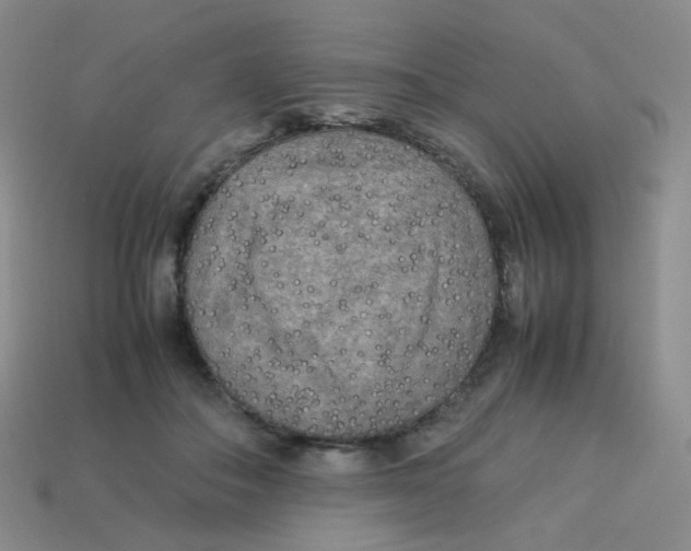 X0000113290506200910131029