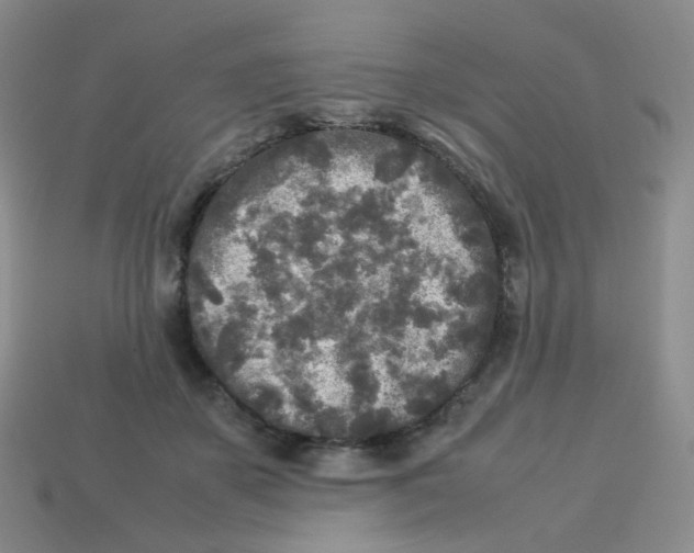 X0000113290507200910131029