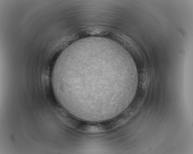X0000113290510200910131029