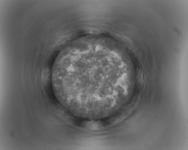 X0000113290511200910131029