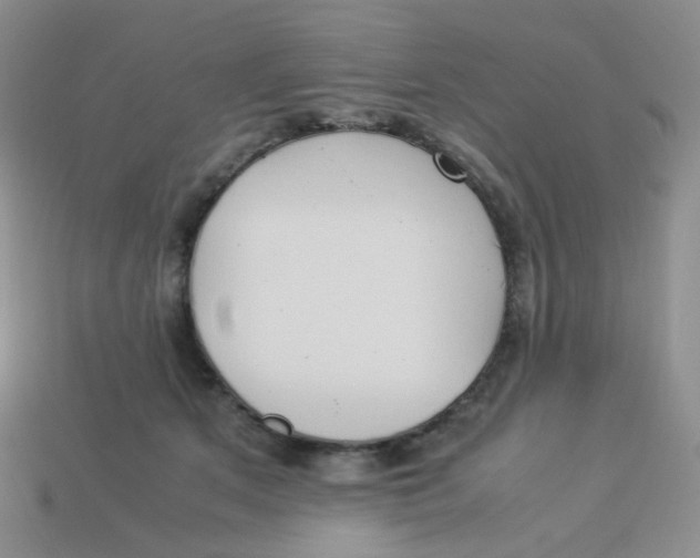 X0000113290513200910131029