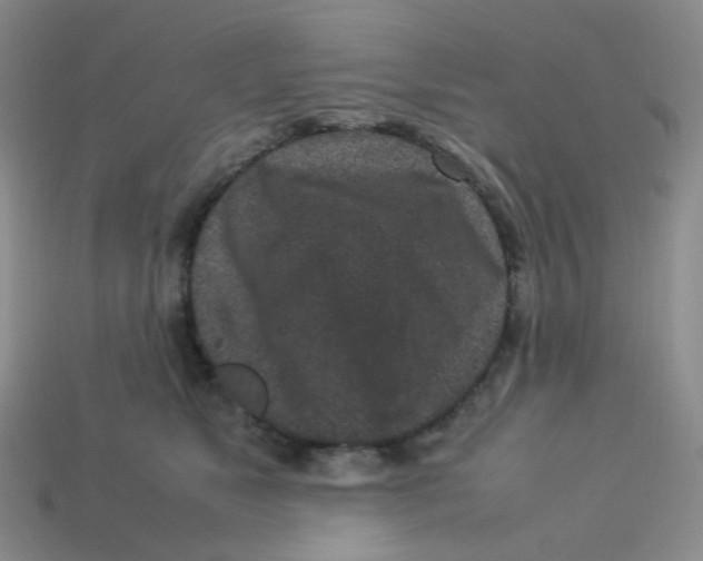 X0000113290517200910131029