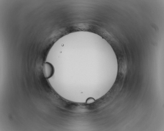 X0000113290518200910131029