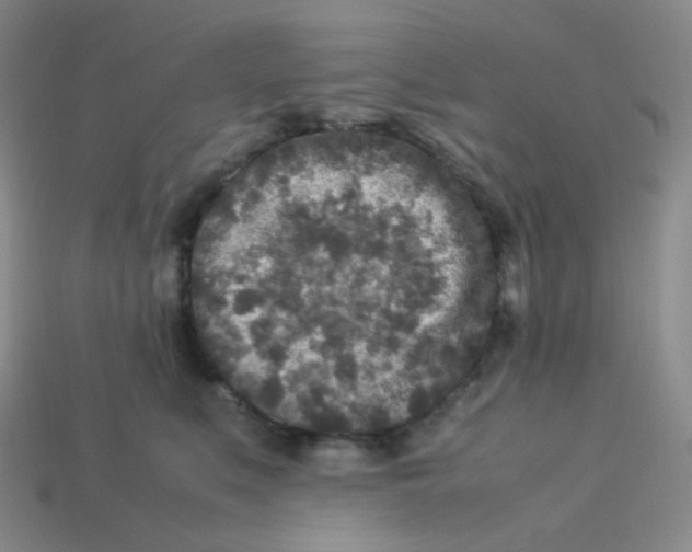 X0000113290519200910131029