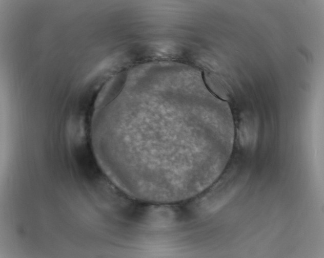 X0000113290520200910131029