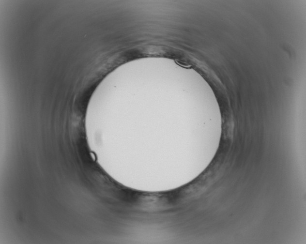 X0000113290521200910131029