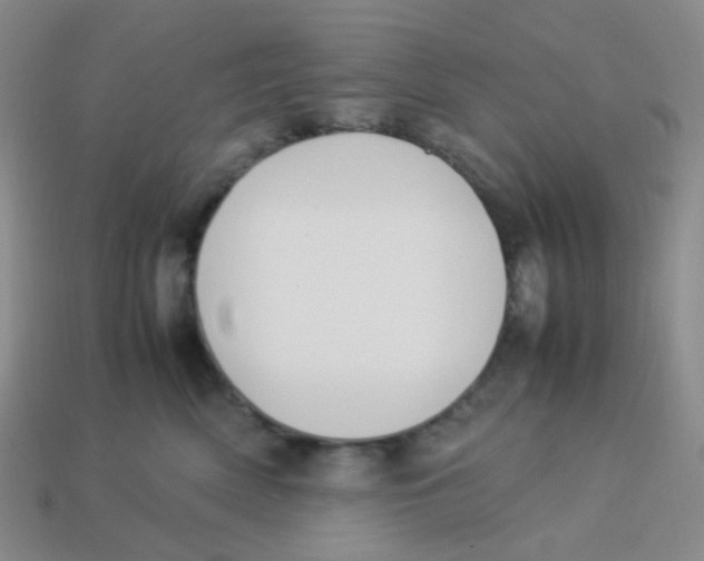 X0000113290522200910131029