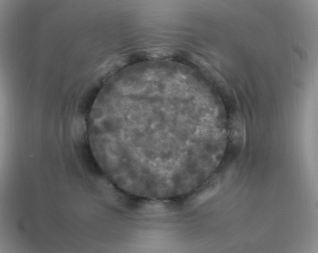 X0000113290523200910131029