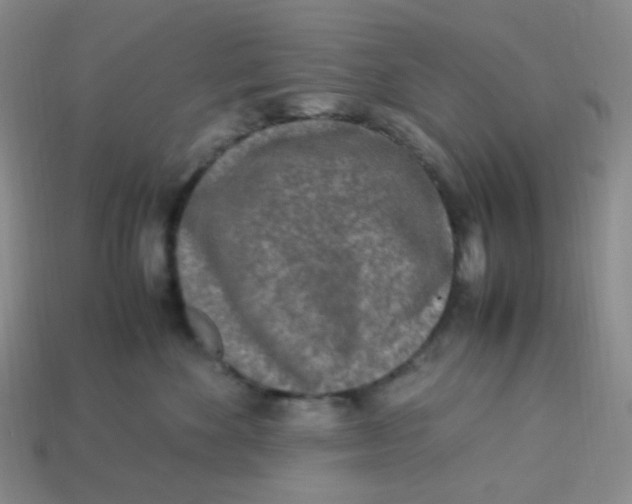 X0000113290524200910131029