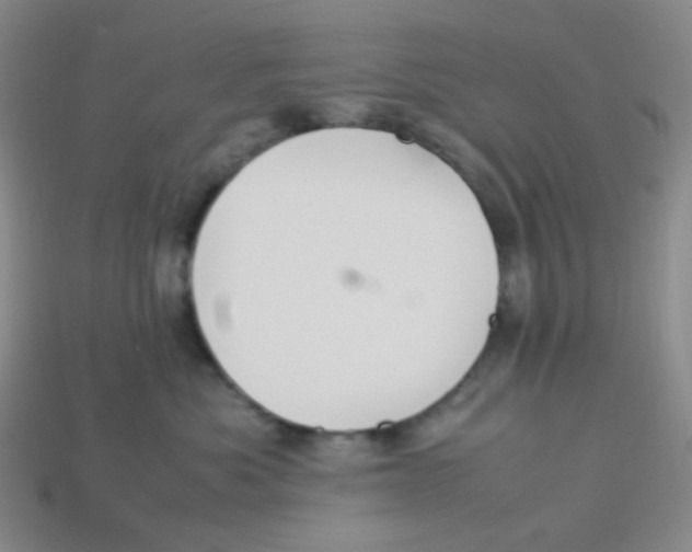X0000113290525200910131029