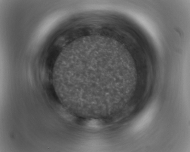 X0000113290527200910131029