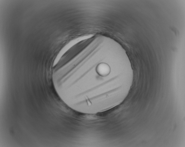 X0000113290528200910131029