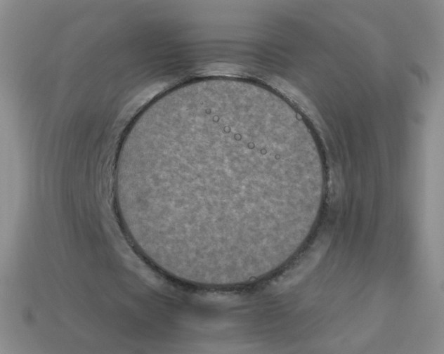 X0000113290529200910131028
