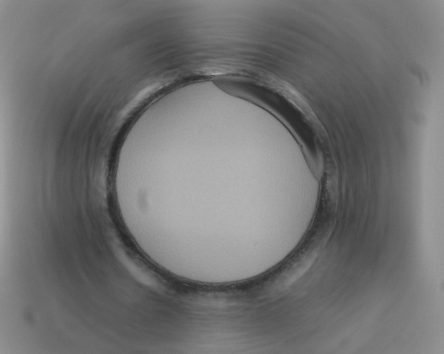 X0000113290530200910131028