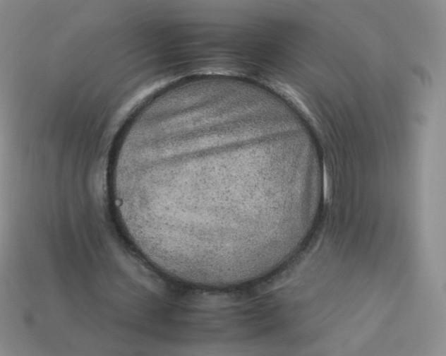 X0000113290531200910131028