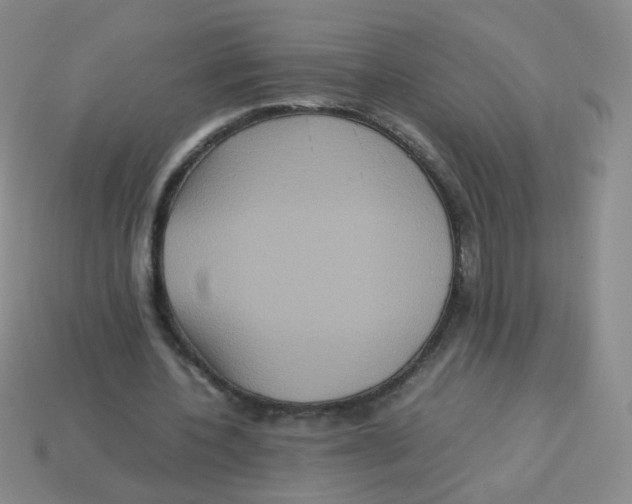 X0000113290532200910131028