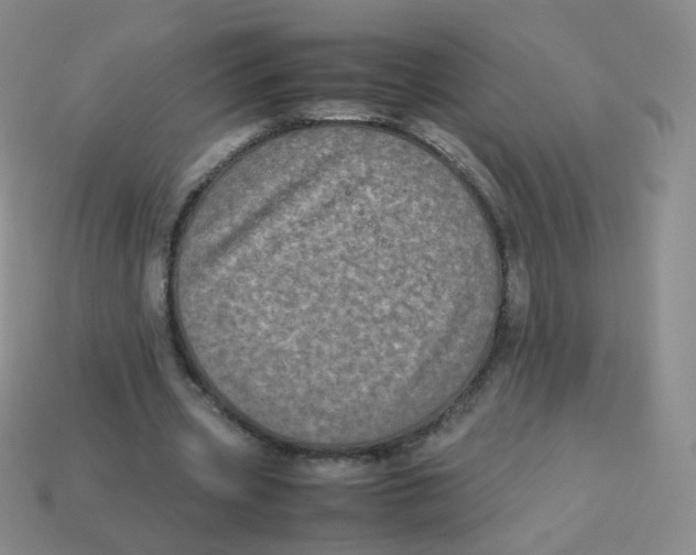 X0000113290533200910131028