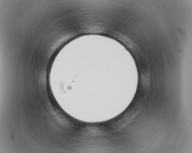 X0000113290534200910131028