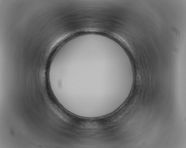 X0000113290535200910131028