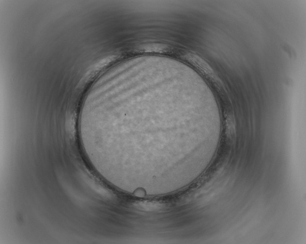 X0000113290537200910131028