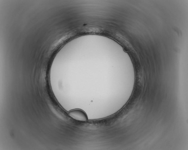 X0000113290538200910131028