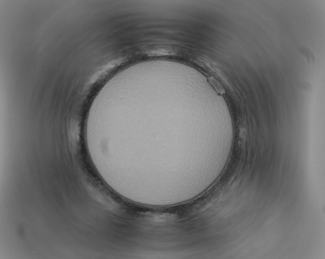 X0000113290539200910131028