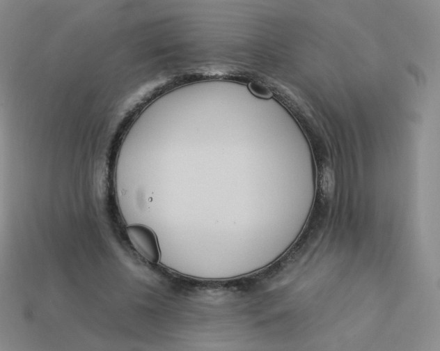 X0000113290540200910131028