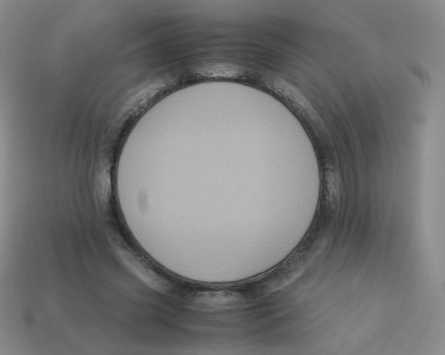 X0000113290541200910131028