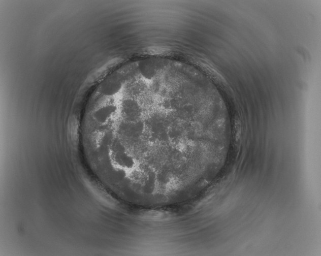 X0000113290542200910131028