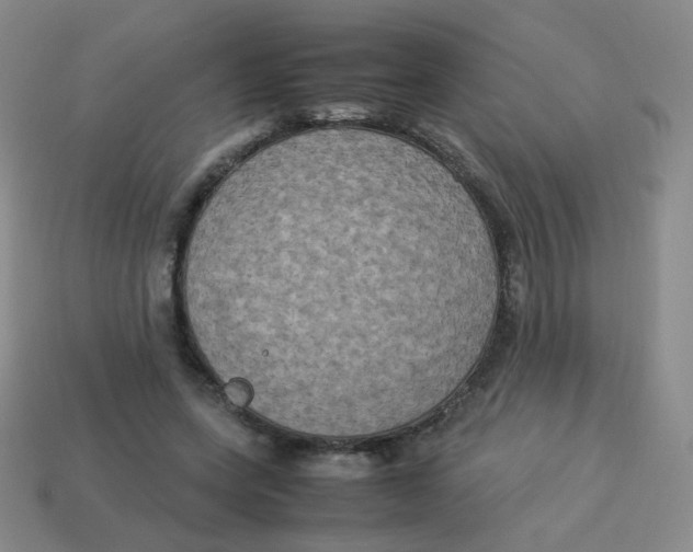 X0000113290543200910131028