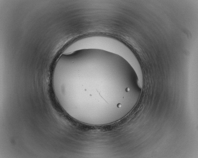 X0000113290544200910131028