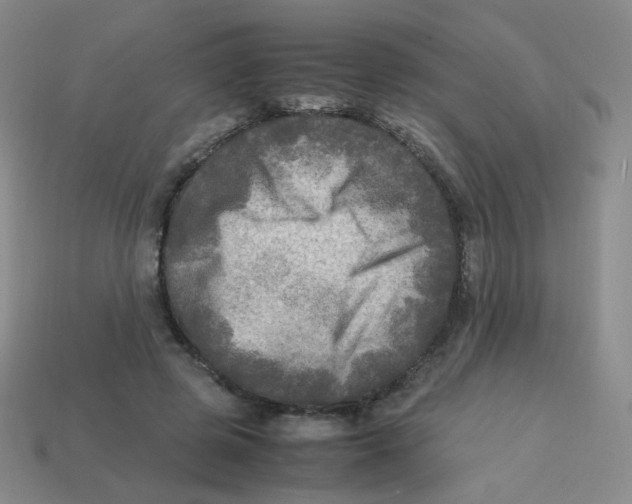 X0000113290545200910131028