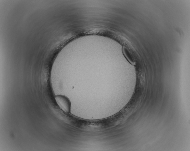 X0000113290546200910131028