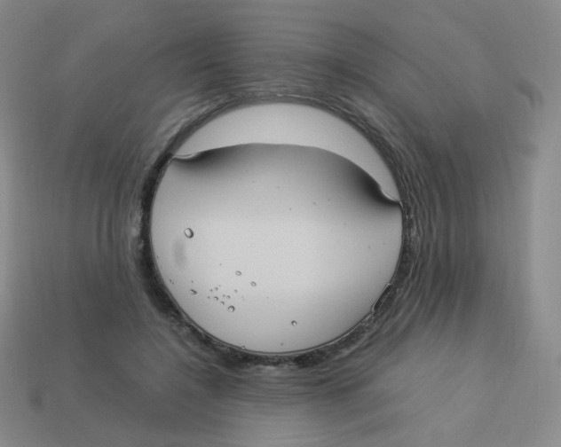 X0000113290548200910131028