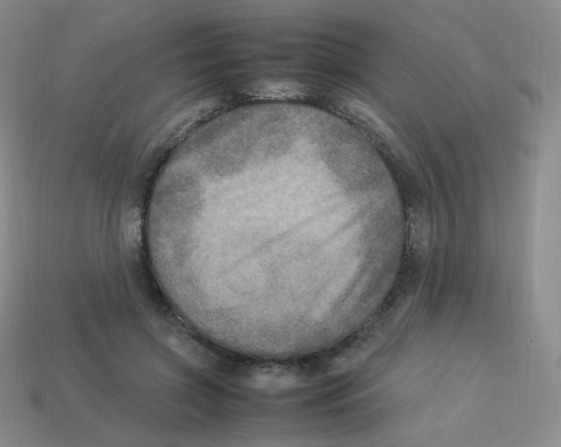 X0000113290549200910131028