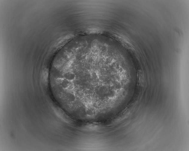 X0000113290550200910131028
