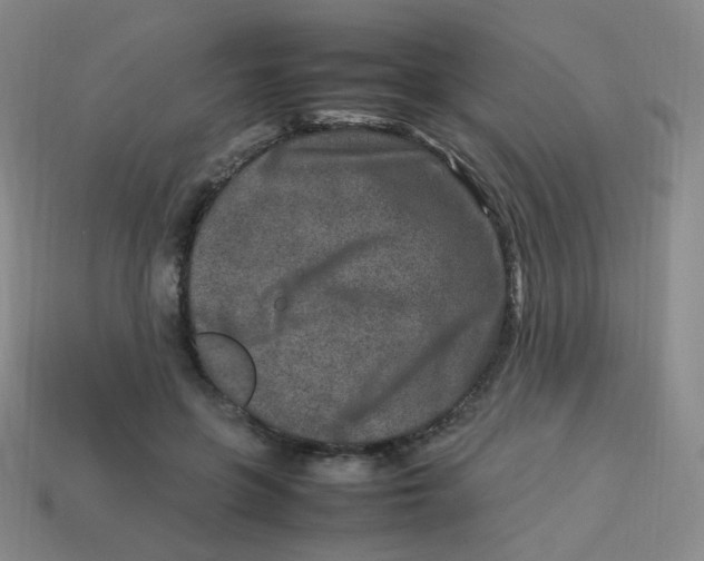 X0000113290551200910131028