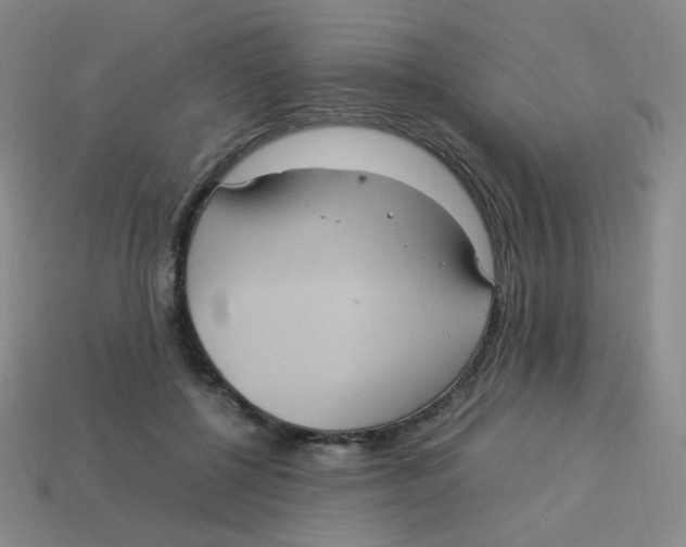X0000113290552200910131028