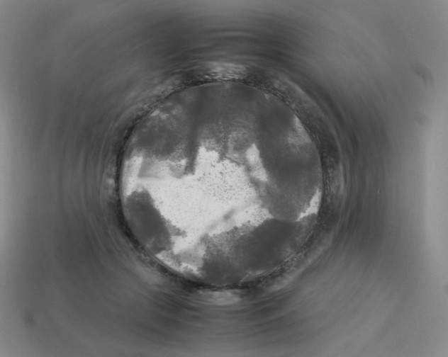 X0000113290553200910131028