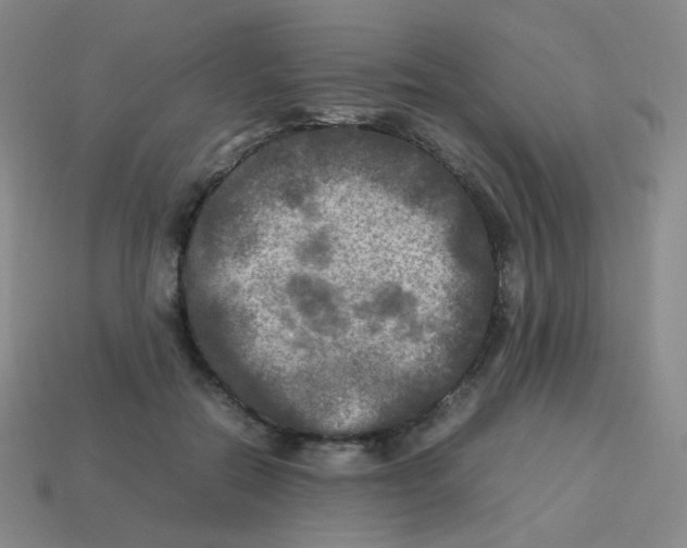 X0000113290554200910131028