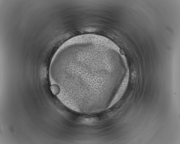 X0000113290555200910131028