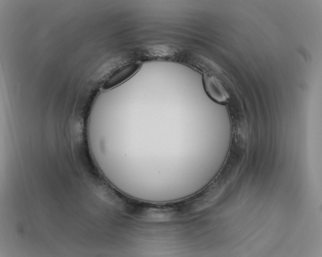 X0000113290556200910131028