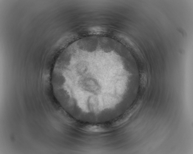 X0000113290557200910131028