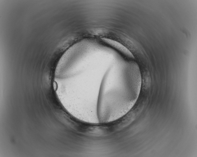 X0000113290558200910131028