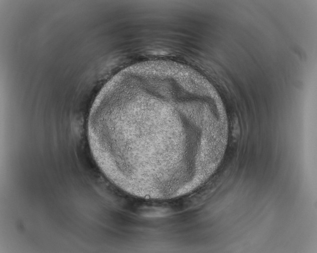 X0000113290559200910131028