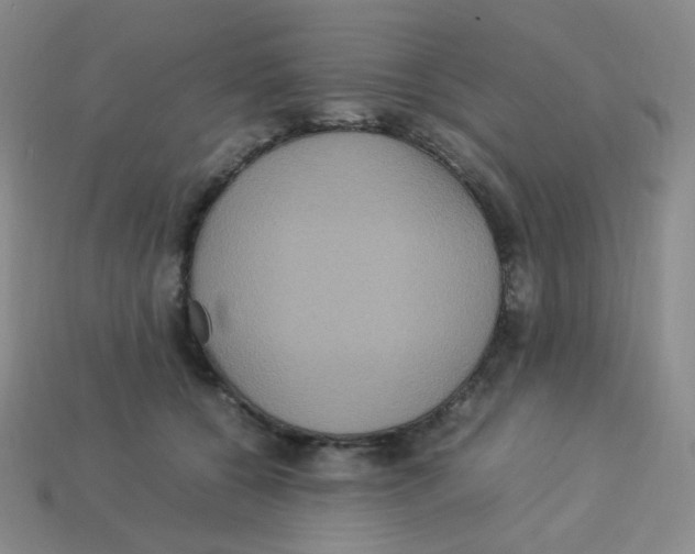 X0000113290560200910131028
